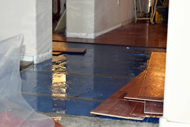 Professional Water Damage Restoration technician working in Powhatan Point, OH